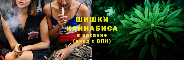 прущие грибы Алексин