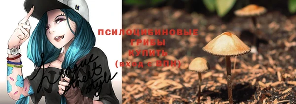 PSILOCYBIN Алзамай