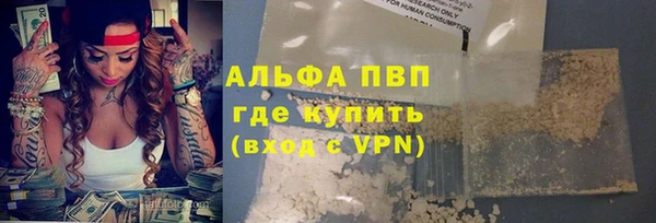 PSILOCYBIN Алзамай