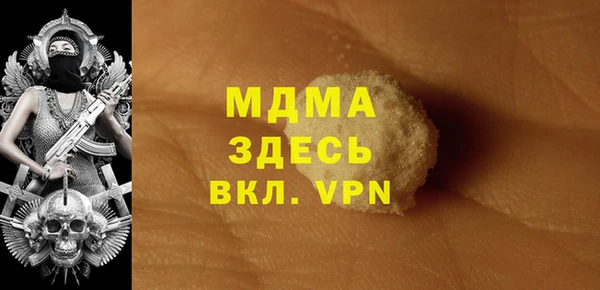 PSILOCYBIN Алзамай