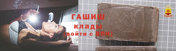 PSILOCYBIN Алзамай