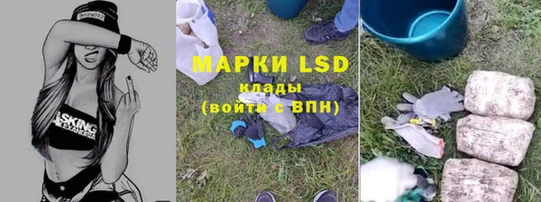 PSILOCYBIN Алзамай