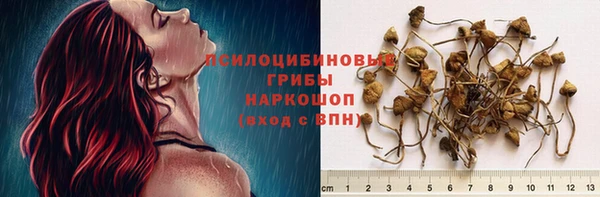 прущие грибы Алексин